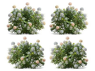 Lush Flowering Shrubs With Green Leaves And Pink White Flowers 3d model
