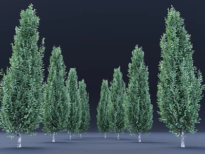 Green Upright Shrubs Neatly Arranged in a Row with Dense Foliage for Landscaping Visual Appeal 3d model