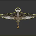 Brown Goose With Spread Wings Orange Beak And Orange Feet On Dark Background