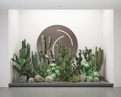 Potted Cactus and Succulent Plants Indoor Decorative Display With White Wall Circular Decor and Stones 3d model