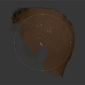 Human Head Organ With Brown Hair Structure And Texture In 3d model