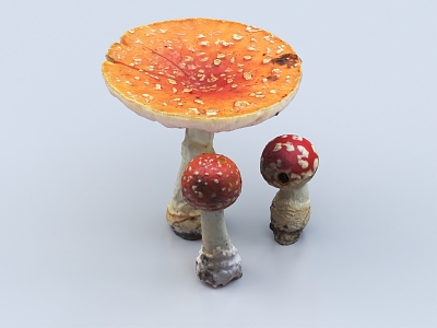 mushroom shiitake mushroom straw mushroom vegetable food 3d model