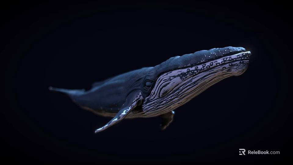 Whale In Dark Setting With Detailed Skin Patterns And Natural Swimming Stance 3d model 
