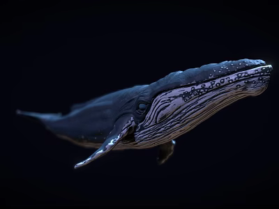 Whale In Dark Setting With Detailed Skin Patterns And Natural Swimming Stance 3d model