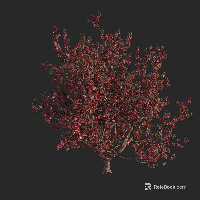 Vibrant Flowering Arbor With Red Blossoms And Lush Green Foliage In Outdoor Garden 3d model 