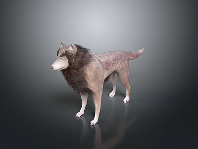3D Rendered Game Movie Wolf Character With Brown Gray Fur Standing Gray Gradient Background Reflection 3d model