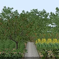 Garden Landscape With Stone Pathway Lush Green Plants Yellow Flowers And Tall Trees