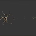 Dry Trees of Various Sizes Standing on White Background with Bare Branches
