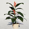 Bonsai Potted Plant With Green Leaves And Orange Flowers In Beige Pot