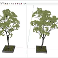 landscape tree pool green plant trees 3d model