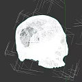 Human Skull with Natural Cracks Beige Colored on Dark Background 3d model