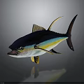 Vibrant Blue And Yellow Tuna Fish With Shiny Reflection On Dark Background