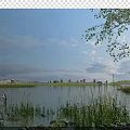 Scenic Waterfront Landscape With Reeds Distant Buildings And Wooden Structure Under Cloudy Sky