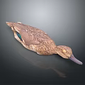 Flying Animal Duck With Brown Feathers Green Patches And Gray Beak On Dark Surface