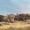 Horned Reptiles Walking on Arid Land with Sky and Rocky Background