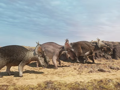 Horned Reptiles Walking on Arid Land with Sky and Rocky Background 3d model