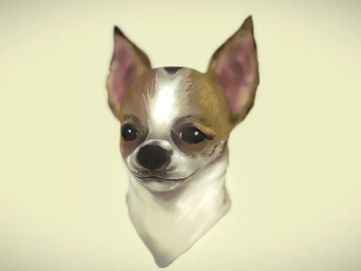 Chihuahua Game Movie Character With Big Ears Brown White Fur And Expressive Face 3d model