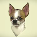Chihuahua Game Movie Character With Big Ears Brown White Fur And Expressive Face