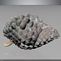 Natural Pine Cone With Pinkish Gray And Blue Bumpy Textured Surface And Scaly Details