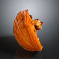 Peeled Walnut With Split Shell And Exposed Fresh Kernel On Dark Surface