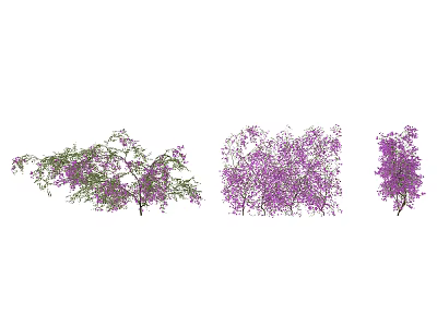 Purple Flowering Plants with Green Leaves and Different Growth Forms in Garden 3d model