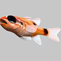 Vibrant Orange Aquatic Fish With Large Black Eyes Black Spots White Fins And Tail 3d model