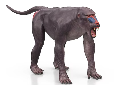 Realistic Baboon With Colorful Face Red Buttocks And Open Mouth Showing Sharp Teeth 3d model