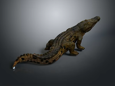 Realistic Crocodile 3D Model With Detailed Texture In Standing Pose 3d model