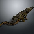 Realistic Crocodile 3D Model With Detailed Texture In Standing Pose 3d model