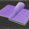 Open Book With Curled Page Showing Text Content And Chapter Layout
