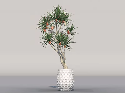Indoor Tropical Plant with Green Leaves and Orange Fruits in White Honeycomb Textured Pot 3d model