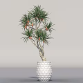 Indoor Tropical Plant with Green Leaves and Orange Fruits in White Honeycomb Textured Pot