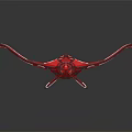 Red Airliner With Unique Sleek Design And Gold Accents In Close Up View