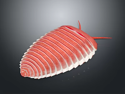 Red Segmented Creature Illustration With Striped Body And Antennae On Dark Background 3d model