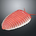 Red Segmented Creature Illustration With Striped Body And Antennae On Dark Background
