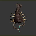 Aquatic Animal Crab With Brown Shell Blue Antenna And Golden Legs Decorative Structure
