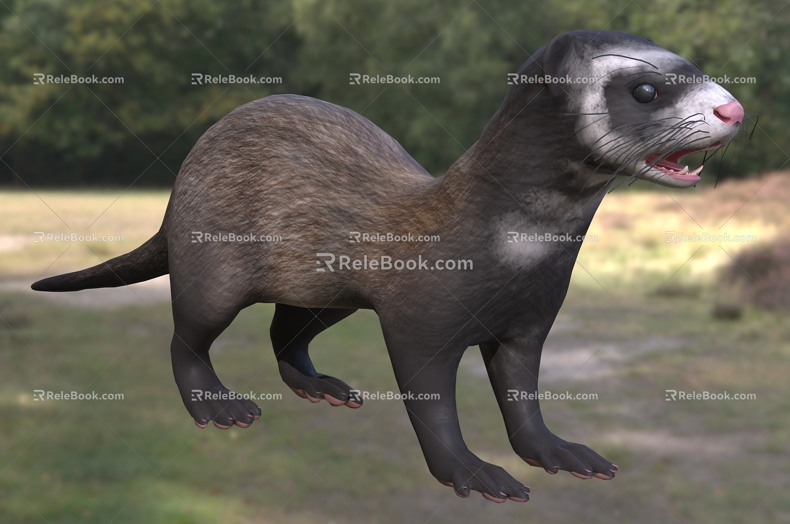 Modern Ferret Animal Creatures 3d model