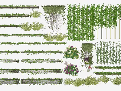 Various Decorative Vines And Greenery For Wall Hanging And Potted Designs 3d model
