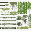 Various Decorative Vines And Greenery For Wall Hanging And Potted Designs