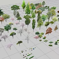 Various Arbor Trees With Diverse Foliage In Grid Layout For Landscape Design 3d model