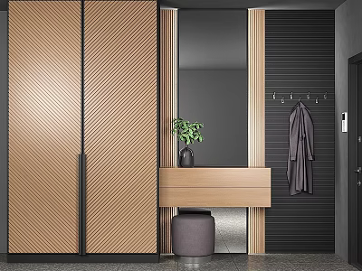 Modern Entryway Design With Herringbone Cabinet Mirror Coat Hanger And Potted Plant 3d model