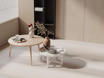 Minimalist Sofa and Coffee Table Set with Wooden White Tables Bookshelf Dried Flowers and Blinds 3d model