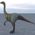 Prehistoric Reptile Dinosaur With Long Neck Standing On Gravel Ground