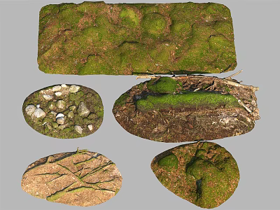 Different Textured Ground Surfaces With Mossy Patches Stones And Branches 3d model
