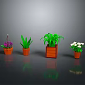 Various Hanging And Potted Plants With Green Leaves Purple White Flowers In Orange Brown Pots