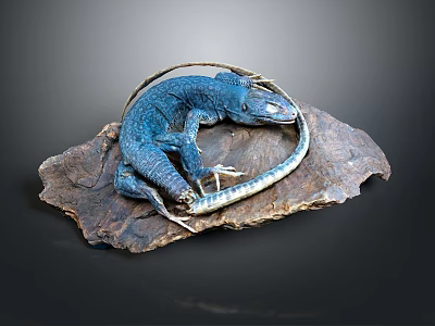 Blue Lizard With Coiled Body And Tail Displayed On Natural Rock Slab 3d model