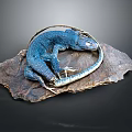 Blue Lizard With Coiled Body And Tail Displayed On Natural Rock Slab