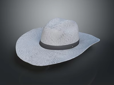 Light Gray Woven Straw Hat With Wide Brim And Black Band 3d model