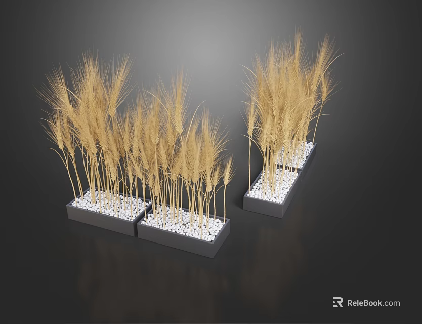 Decorative Garden Wheat Stalks In Black Planters With White Pebbles 3d model 