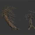 Two Dead Leafless Trees With Rough Trunks One Large Leaning And One Small Upright